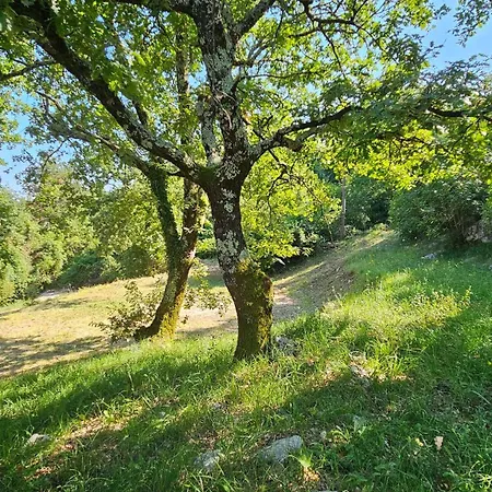 Kuca Za Odmor Mir * Mošćenička Draga